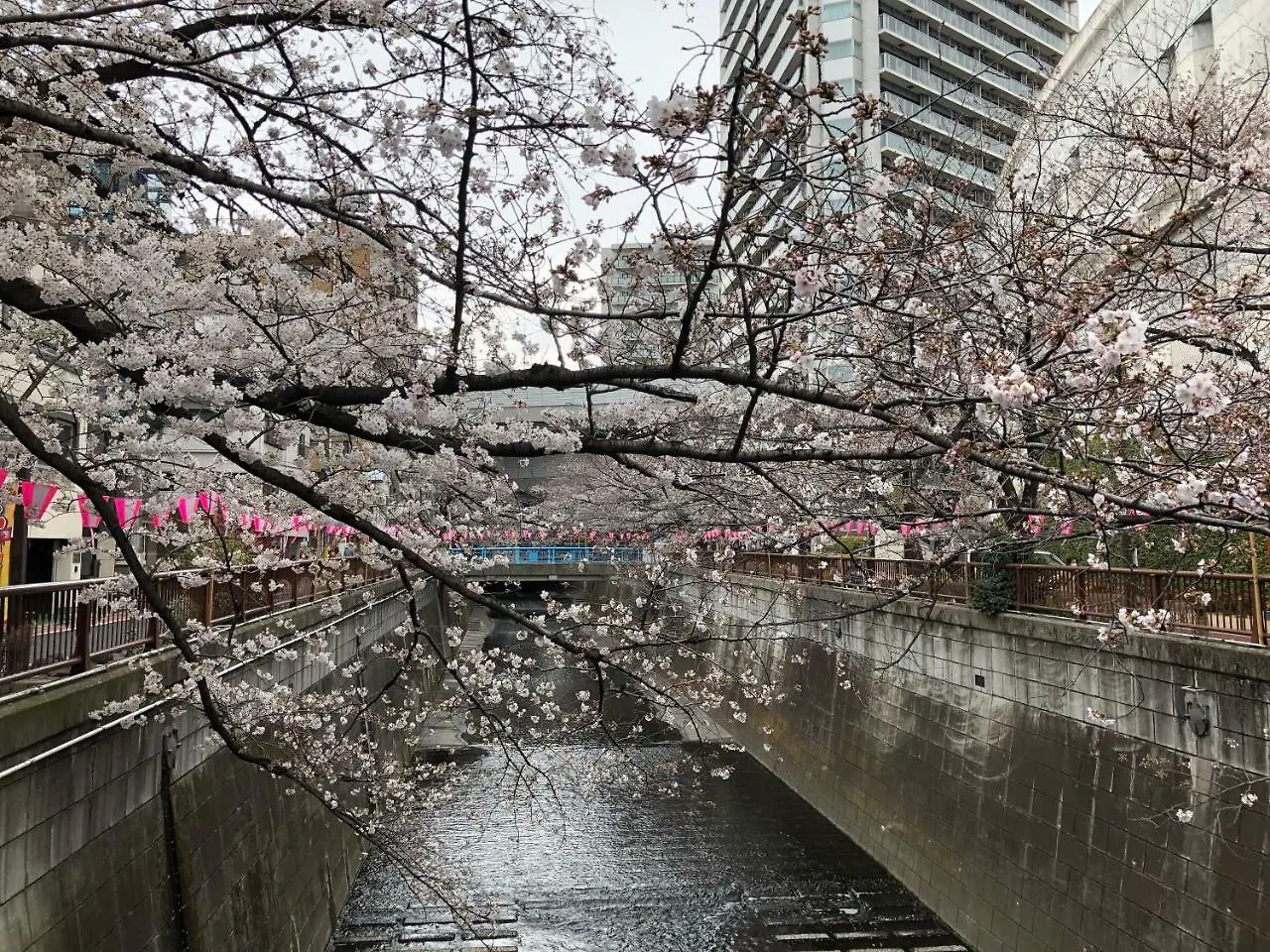 Wander Tokyo Shibuya Hotel